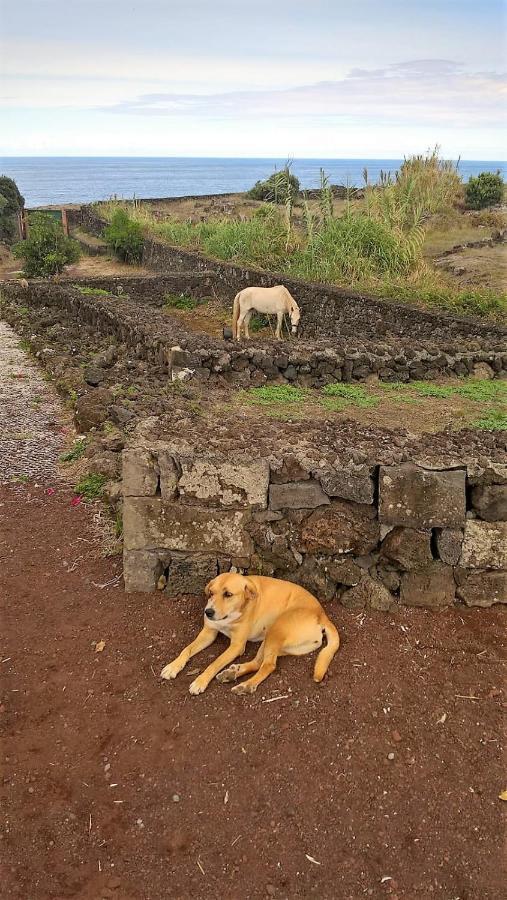 Ponta Delgada Quinta Da Falesia - Casa Branca מראה חיצוני תמונה
