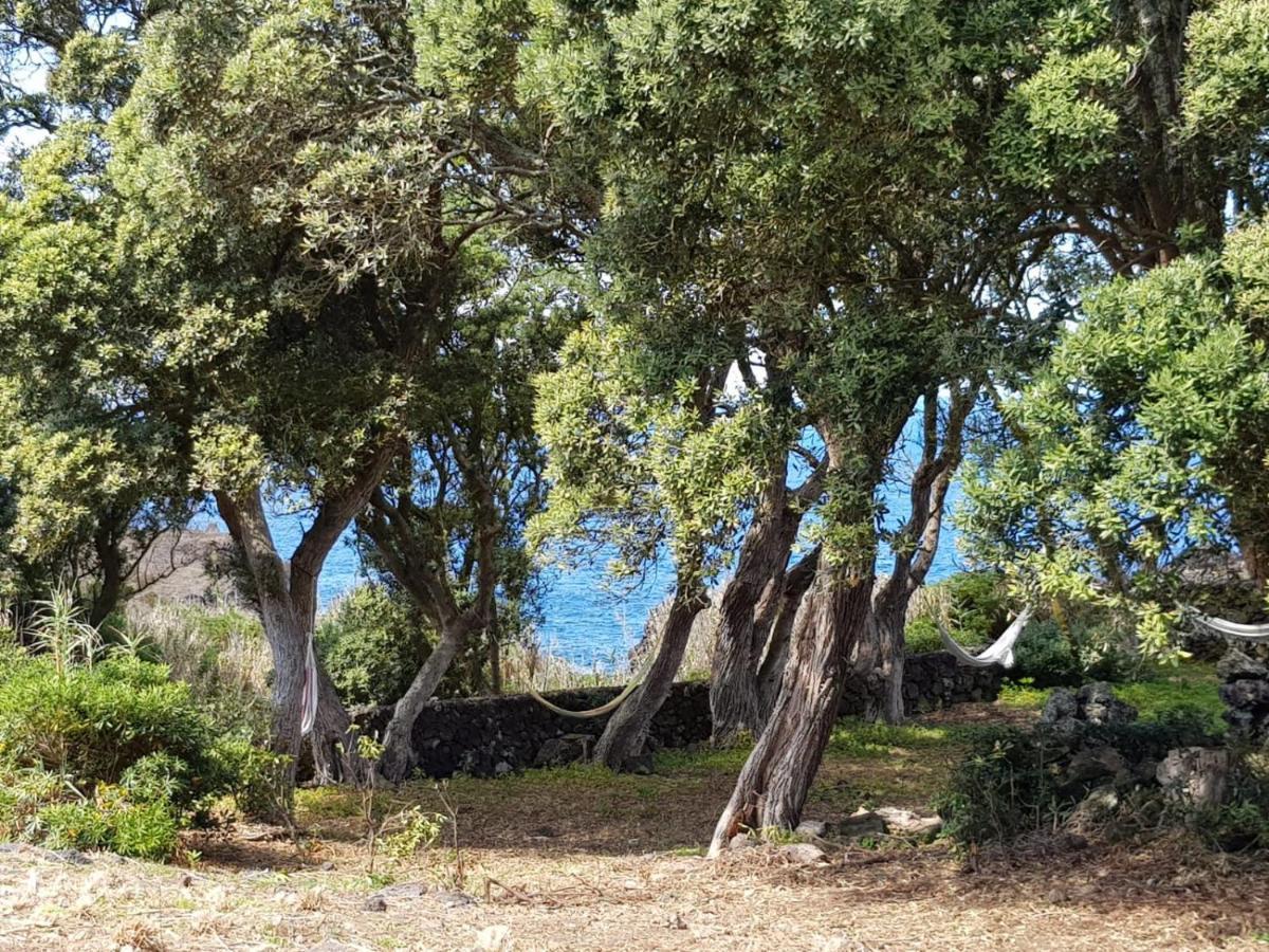 Ponta Delgada Quinta Da Falesia - Casa Branca מראה חיצוני תמונה