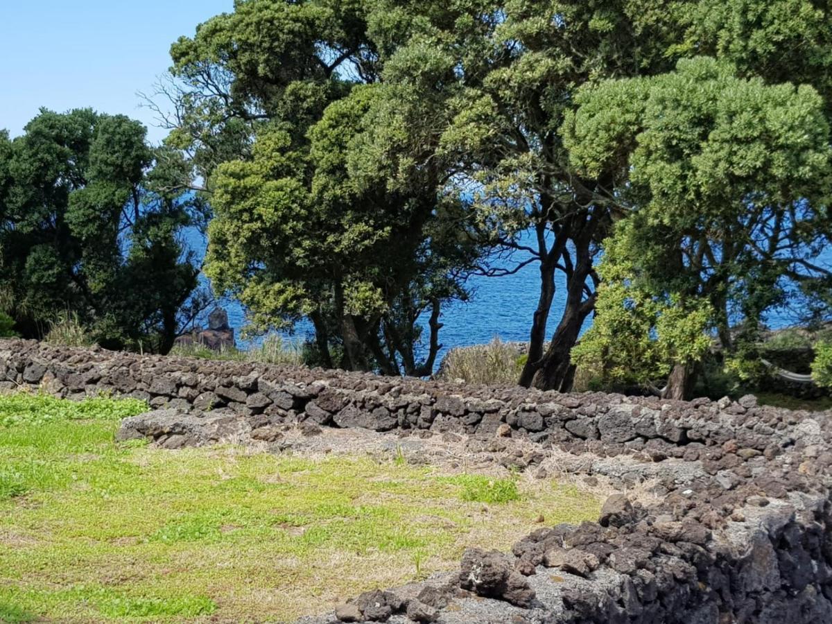Ponta Delgada Quinta Da Falesia - Casa Branca מראה חיצוני תמונה