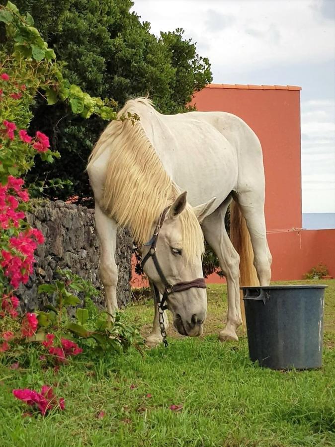 Ponta Delgada Quinta Da Falesia - Casa Branca מראה חיצוני תמונה